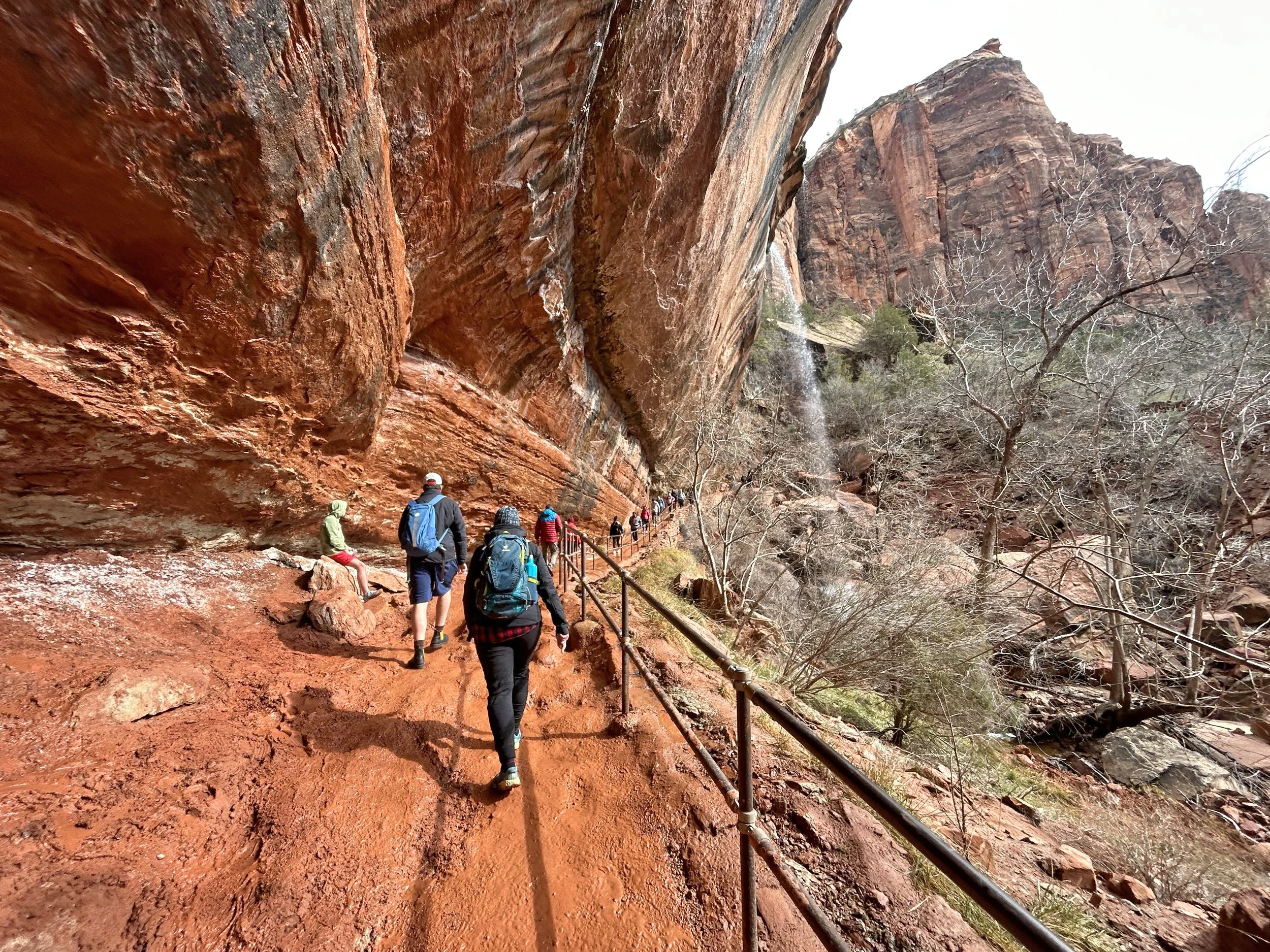 A Classic Zion Hike Revisited: Emerald Pools - The Independent | Southern Utah's #1 Source for Arts, Events & Entertainment